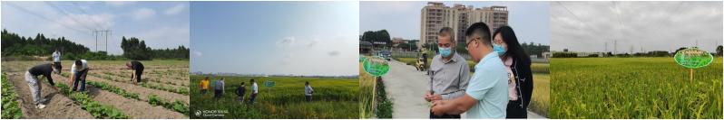 WPS图片拼图.jpg