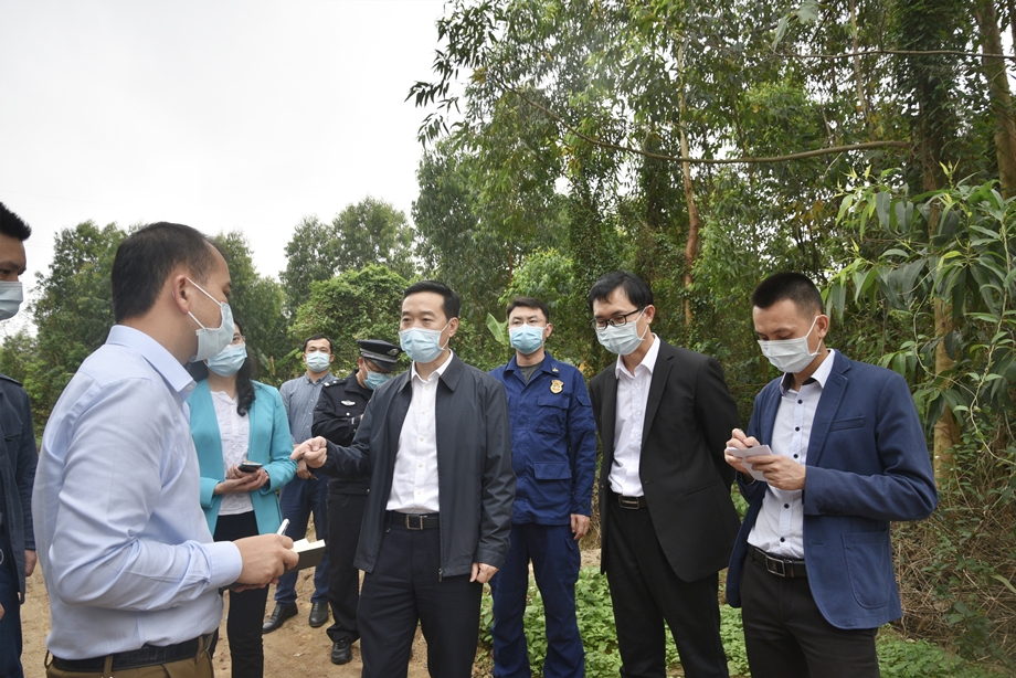 杨杰东率队督导检查清明节前安全生产和森林防火工作