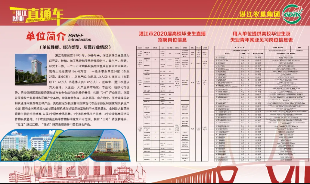 湛江霞招聘_2014年广东惠州惠城区教育局属下学校招聘教师公告(2)