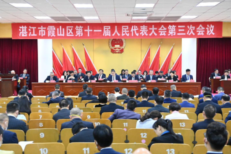 20230309霞山区第十一届人民代表大会第三次会议开幕115.png