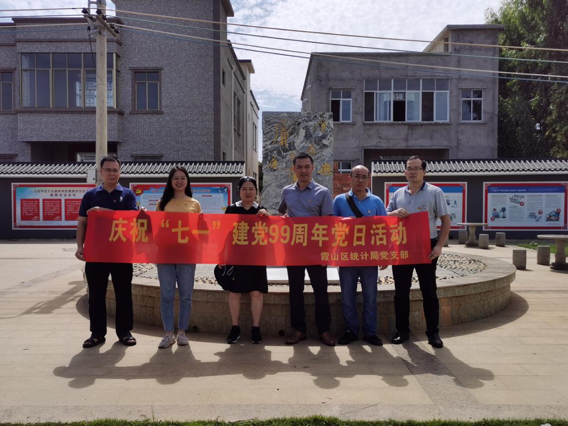 霞山区统计局党支部组织开展庆七一建党99周年主题党日活动