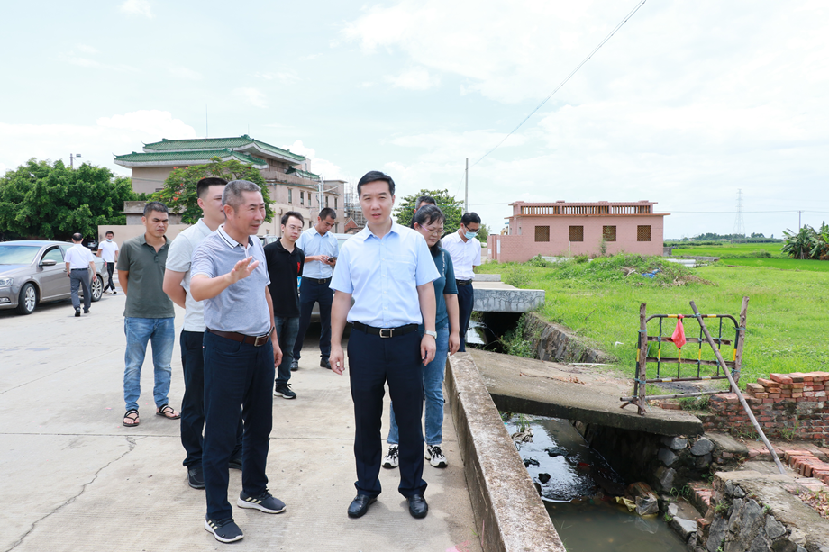 杨杰东区长调研北月美丽乡村建设和海堤防护