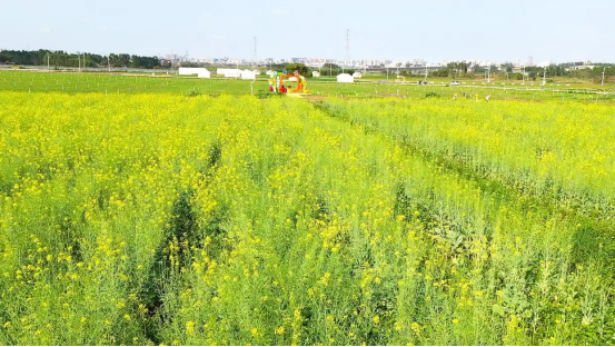 走进霞山研学基地(2)(1)277.png