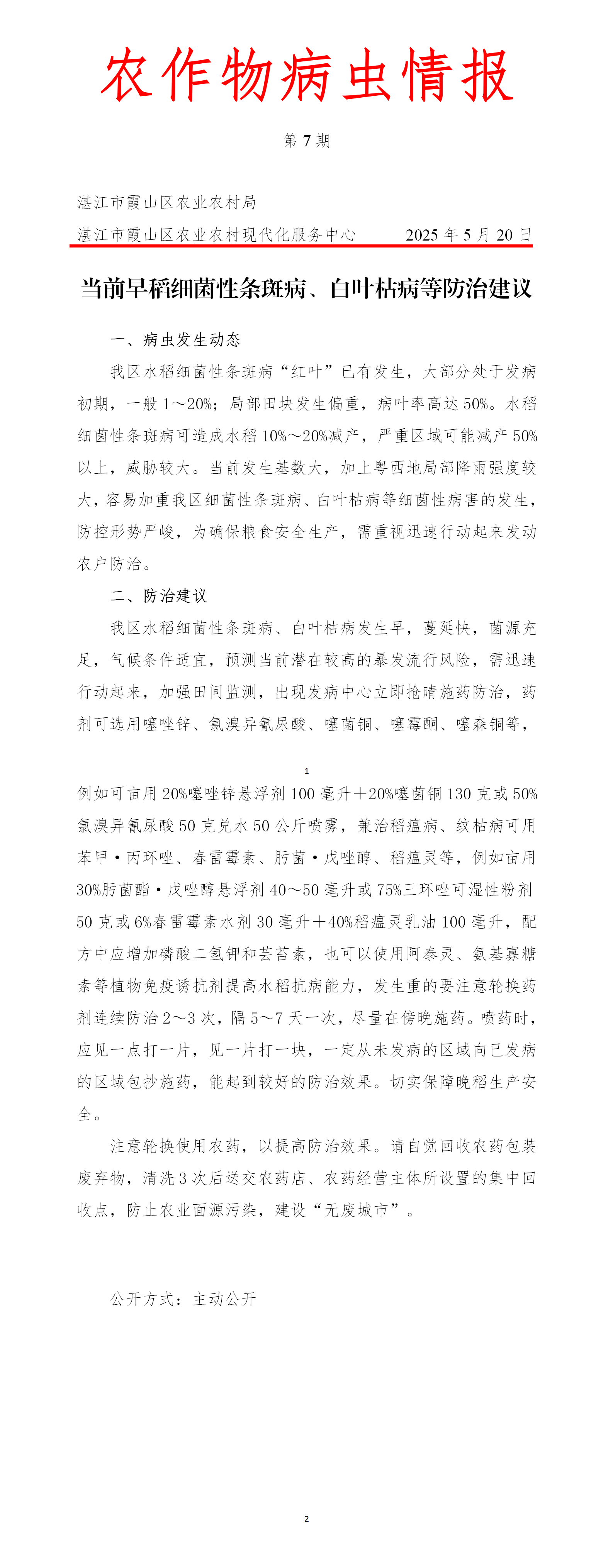 霞山区2025年第7期农作物病虫情报（当前早稻细菌性条斑病、白叶枯病等防治建议）_01.png