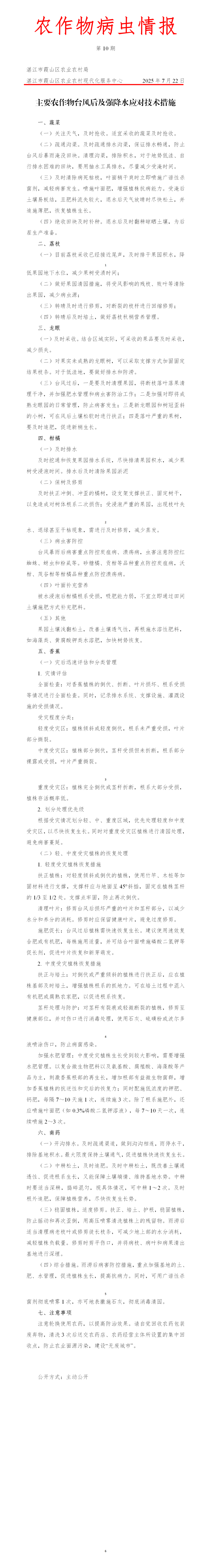 霞山区2025年第10期农作物病虫情报（主要农作物台风后及强降水应对技术措施）_01(1).png