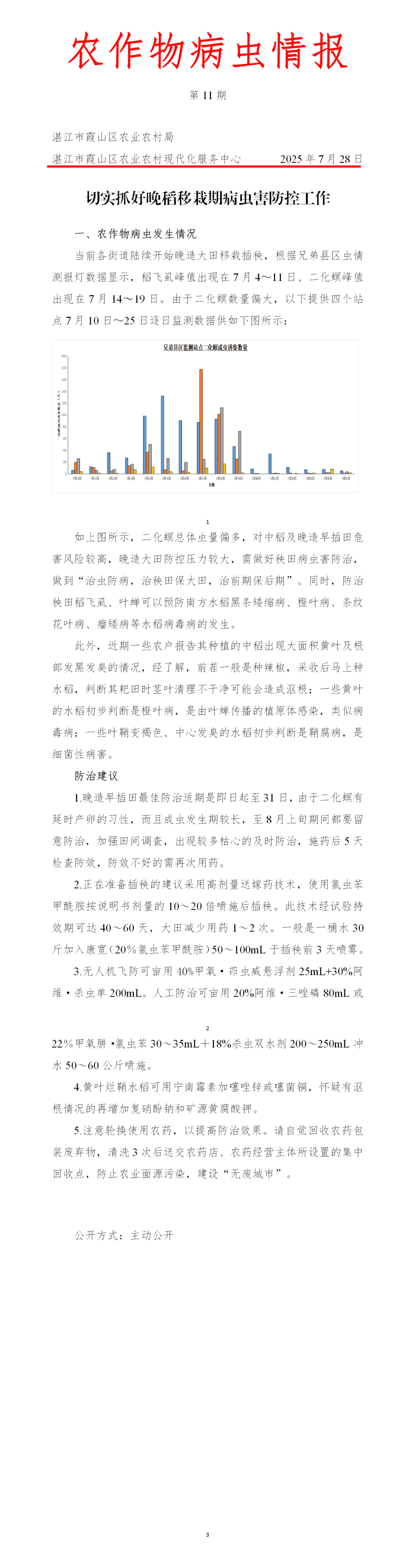 霞山区2025年第11期农作物病虫情报（切实抓好晚稻移栽期病虫害防控工作）_01(1).png