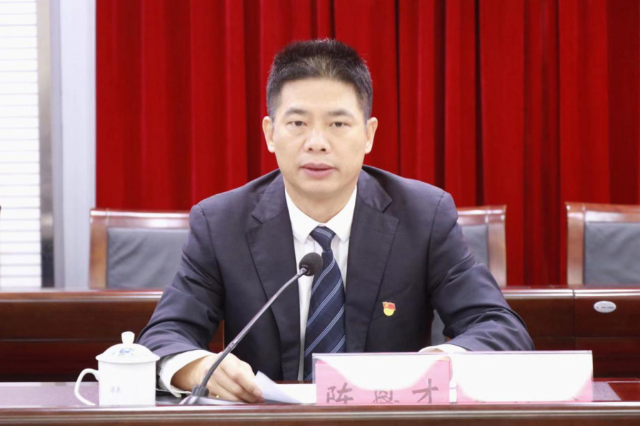 霞山区召开不忘初心牢记使命主题教育总结大会