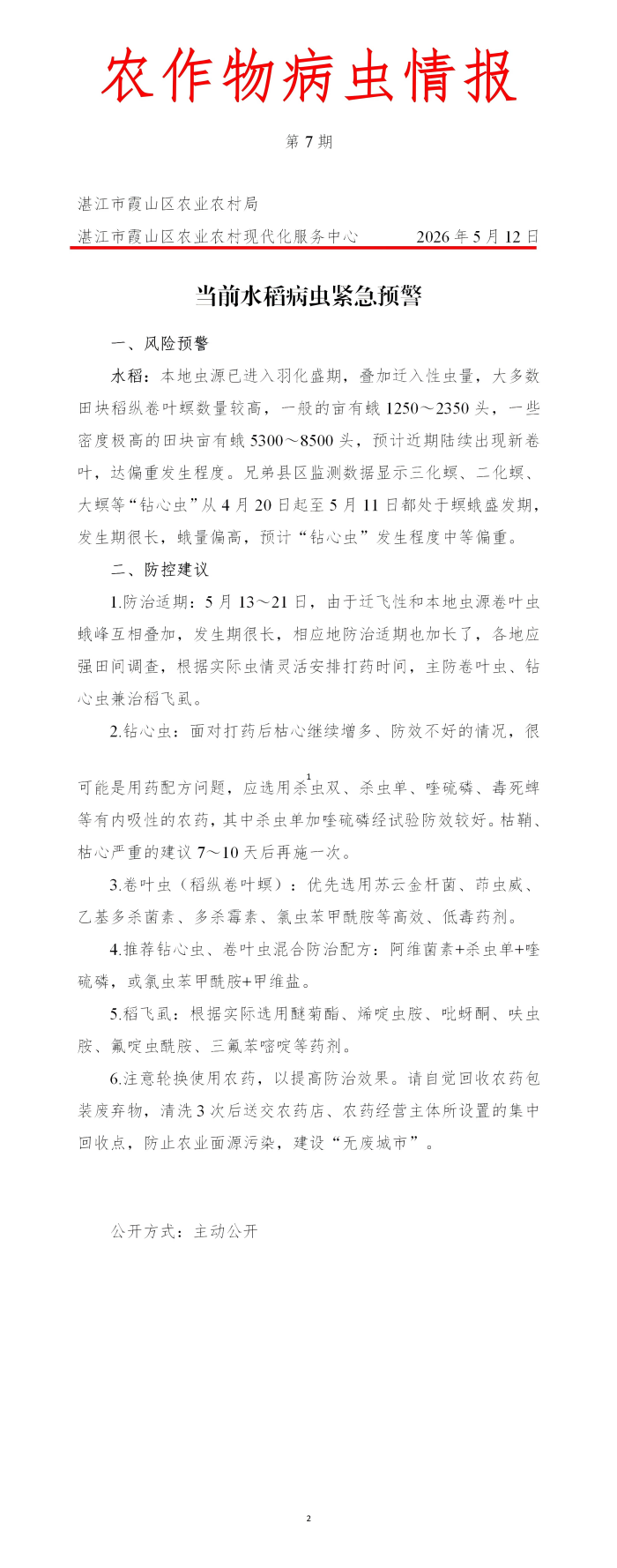 霞山区2026年第7期农作物病虫情报（水稻病虫情预警）_01(1).png