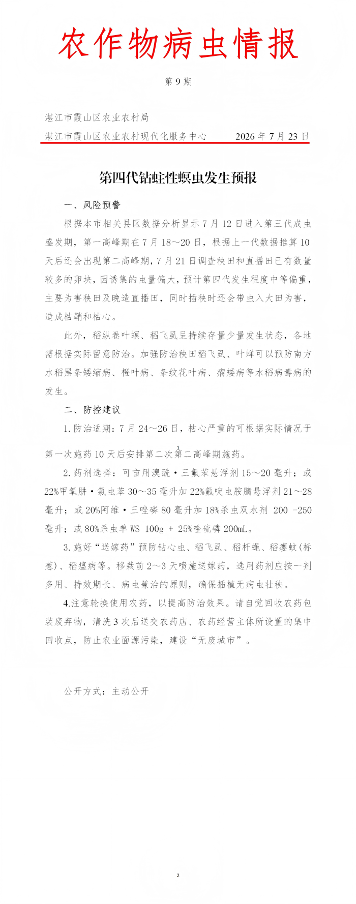 霞山区2026年第9期农作物病虫情报（第四代钻蛀性螟虫发生预报）_01(1).png