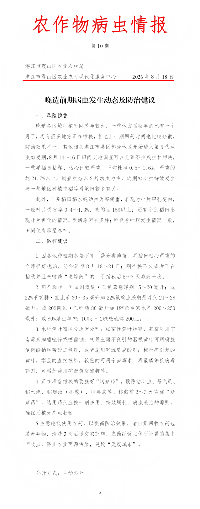 霞山区2026年第10期农作物病虫情报（晚造前期病虫发生动态及防治建议）_01(1).png