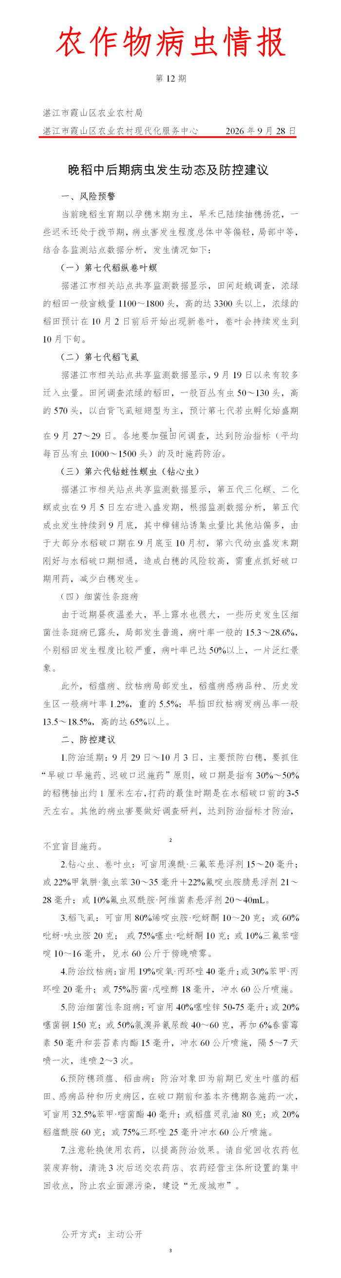 霞山区2026年第12期农作物病虫情报（晚稻中后期病虫发生动态及防治建议）_01(1).png