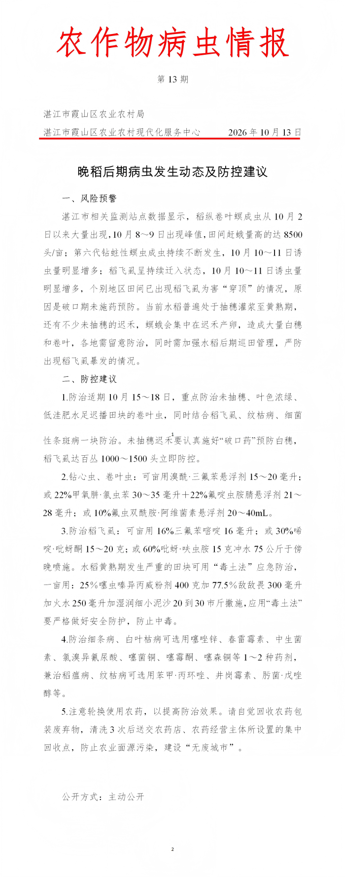 霞山区2026年第13期农作物病虫情报（晚稻后期病虫发生动态及防治建议）_01(1).png