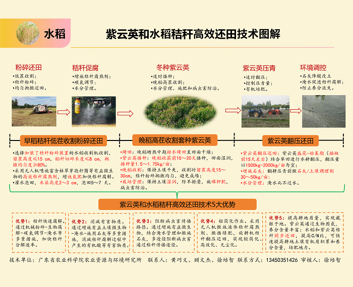 广东省2025年农业主推技术——紫云英和水稻秸秆等高效还田技术图解-定.png