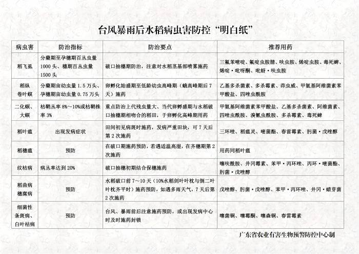 台风暴雨后水稻病虫防控“明白纸”_01(1).jpg