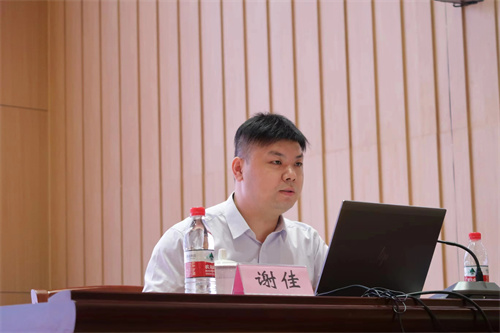 01谢佳.jpg